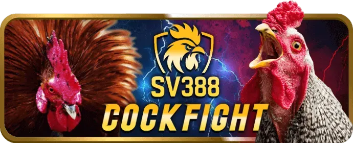 Chiến lược casino vin7773
